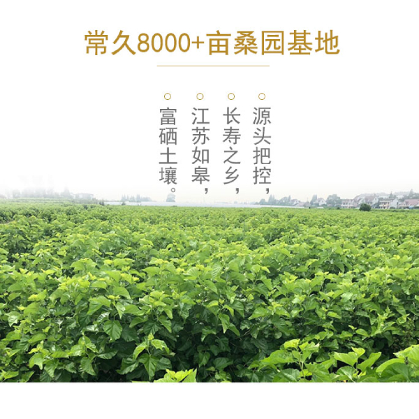 濟(jì)南蠶絲被批發(fā)-可以了解這座城市的蠶絲被工廠(chǎng)[常久]