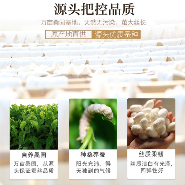 桑蠶絲被哪個(gè)地方出-這個(gè)地方的可信[常久]